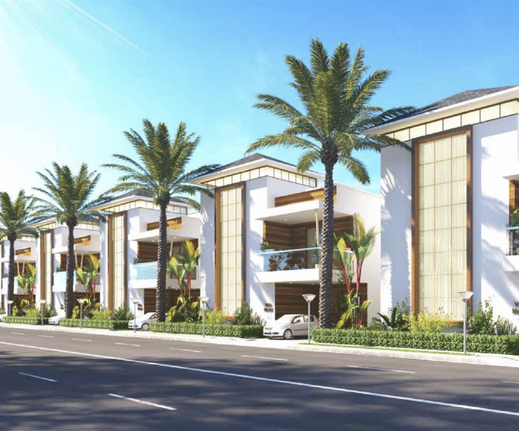 Eternity Grape County2